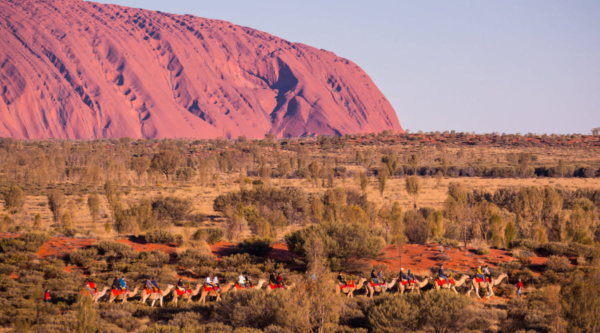 Perth In July Where to Travel in Australia in July: Snow, Sun and Events – SParms